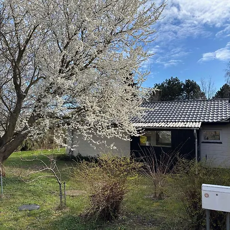 Near Water, Forest, And Mons Cliffs Holiday home